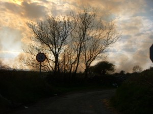 DSCN0347